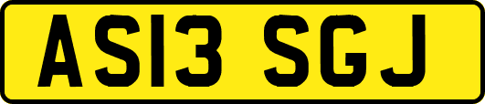 AS13SGJ