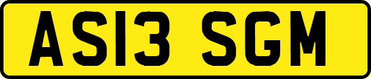 AS13SGM