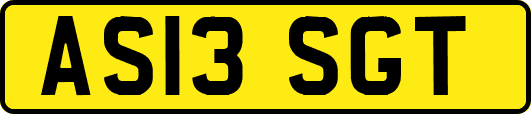 AS13SGT