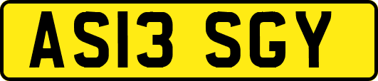 AS13SGY