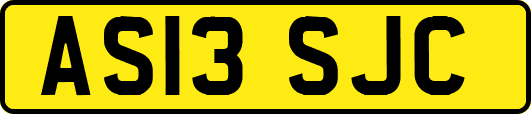 AS13SJC