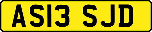 AS13SJD