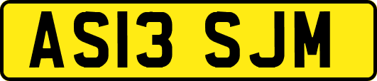 AS13SJM