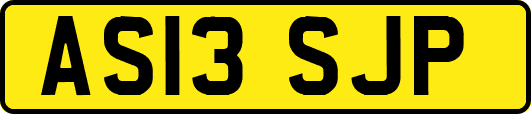 AS13SJP