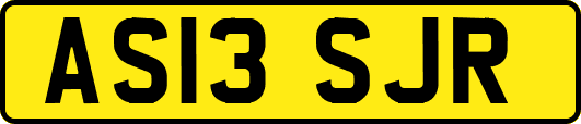 AS13SJR