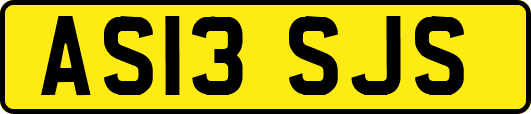 AS13SJS