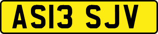AS13SJV