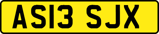 AS13SJX