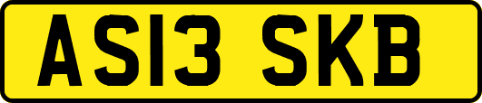 AS13SKB