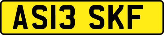 AS13SKF