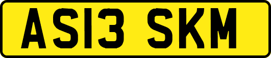 AS13SKM