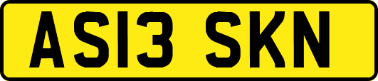 AS13SKN