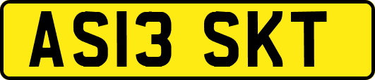 AS13SKT