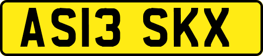 AS13SKX