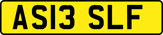 AS13SLF
