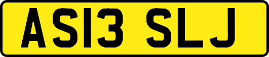 AS13SLJ