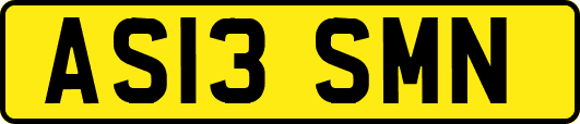 AS13SMN