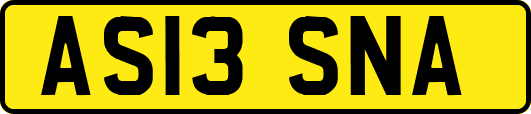 AS13SNA