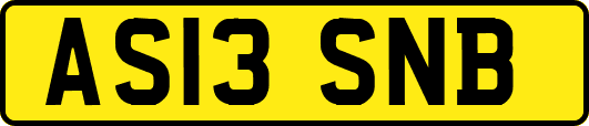 AS13SNB