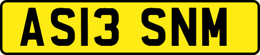 AS13SNM