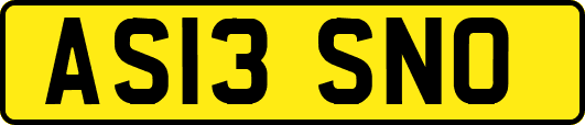 AS13SNO