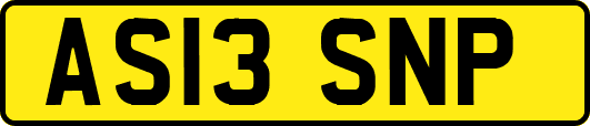 AS13SNP