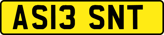 AS13SNT