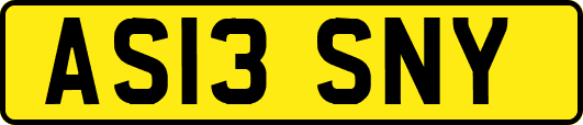 AS13SNY