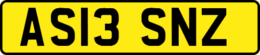 AS13SNZ