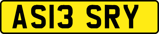 AS13SRY