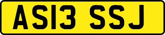 AS13SSJ
