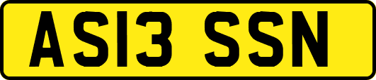 AS13SSN