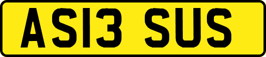 AS13SUS