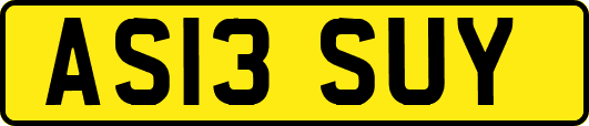 AS13SUY