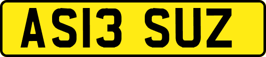 AS13SUZ