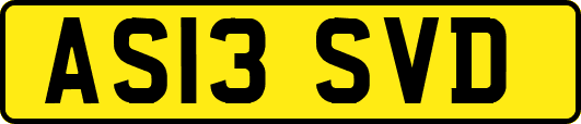 AS13SVD