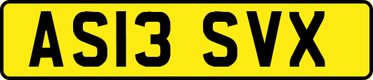AS13SVX