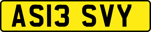 AS13SVY