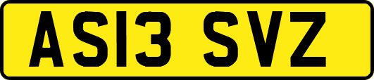 AS13SVZ