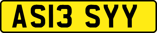 AS13SYY