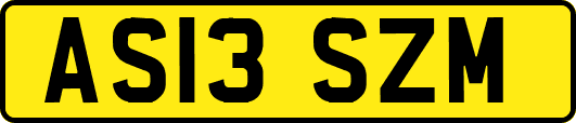 AS13SZM