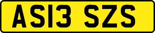 AS13SZS