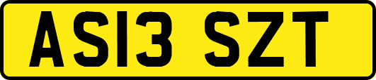 AS13SZT