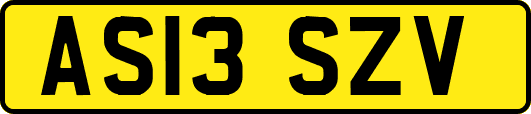 AS13SZV