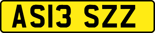AS13SZZ