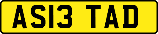 AS13TAD