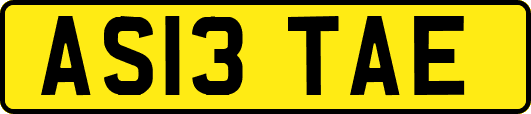 AS13TAE