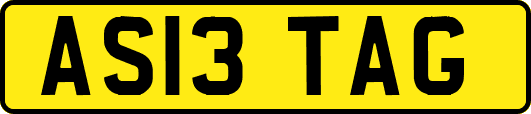 AS13TAG