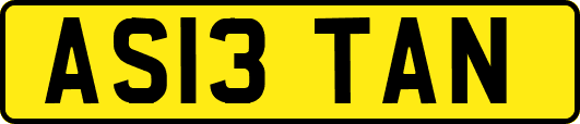 AS13TAN