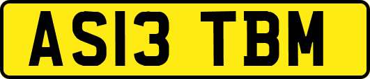 AS13TBM